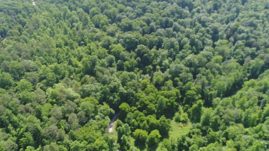 1651 Highway 1643 Somerset KY 42501