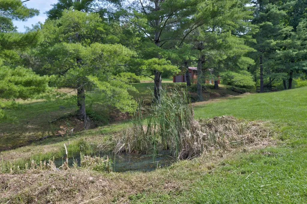 3425 Ky-986 Olive Hill KY 41164