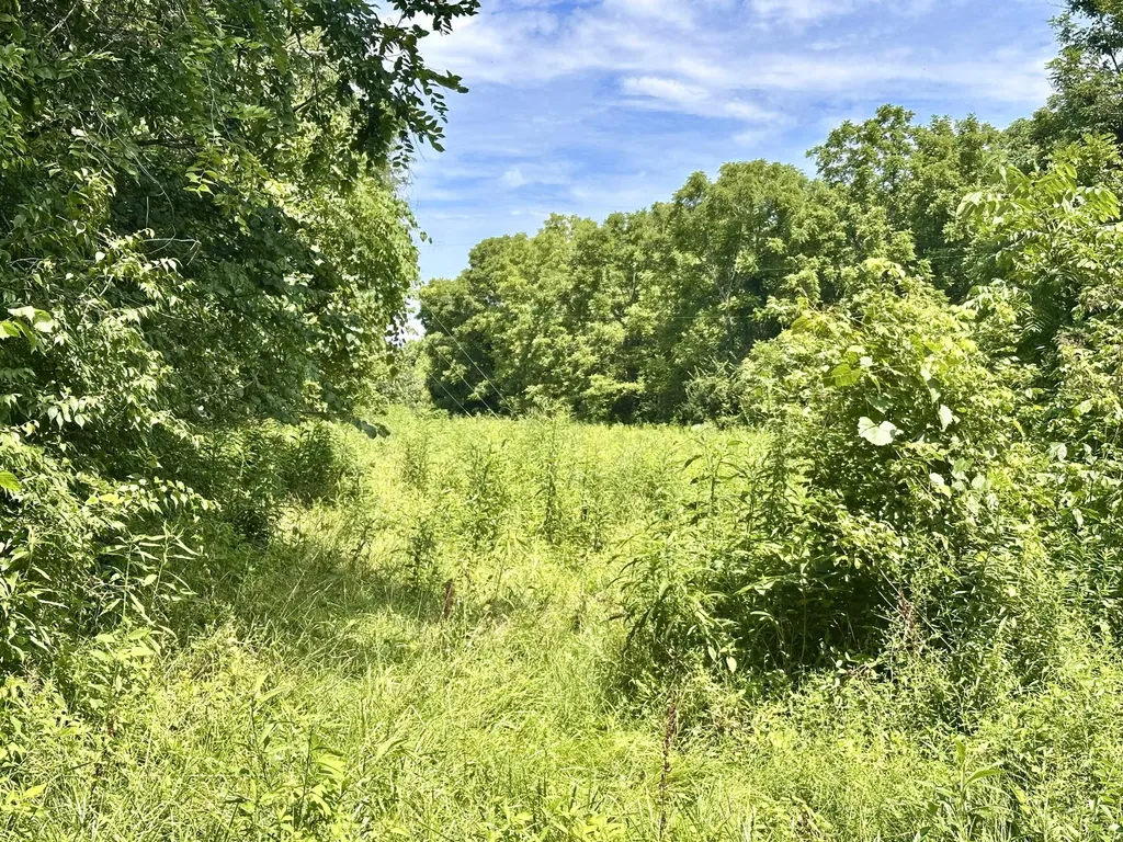 839 Saltwell Road Carlisle KY 40311