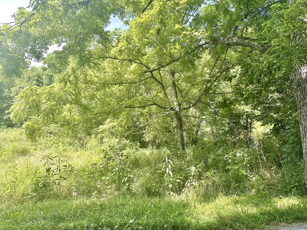839 Saltwell Road Carlisle KY 40311