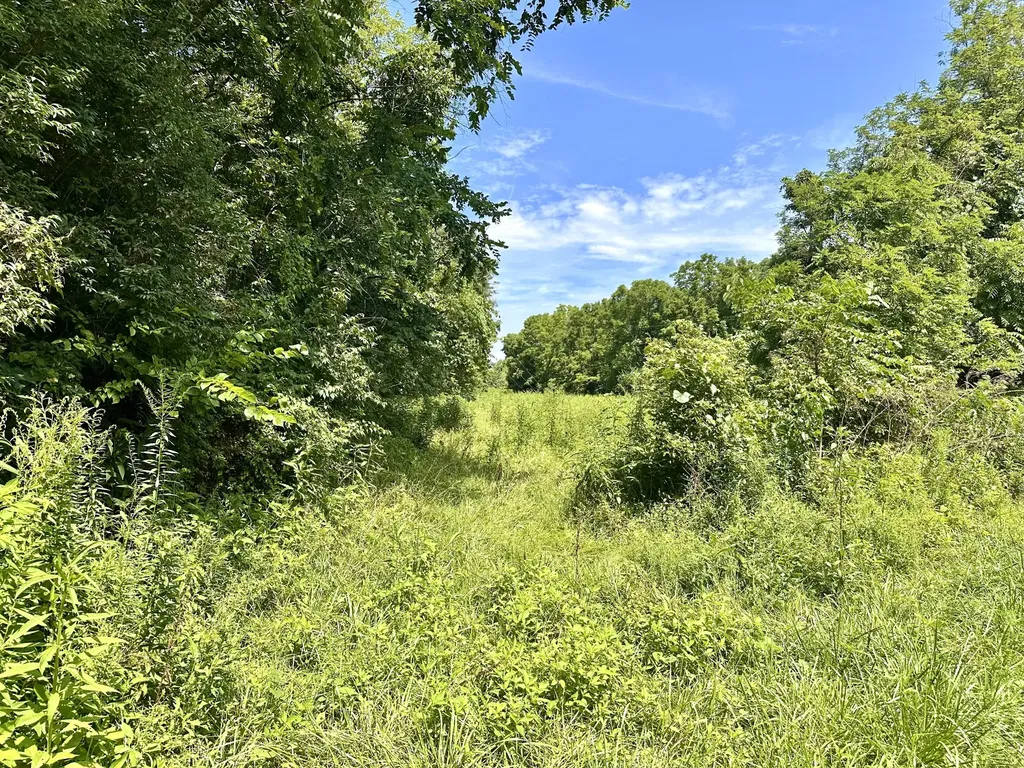 839 Saltwell Road Carlisle KY 40311