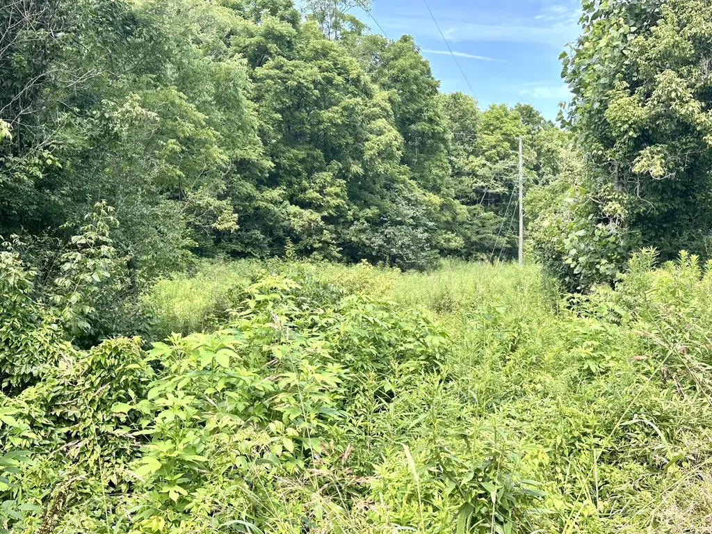 839 Saltwell Road Carlisle KY 40311