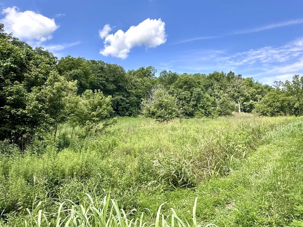 839 Saltwell Road Carlisle KY 40311