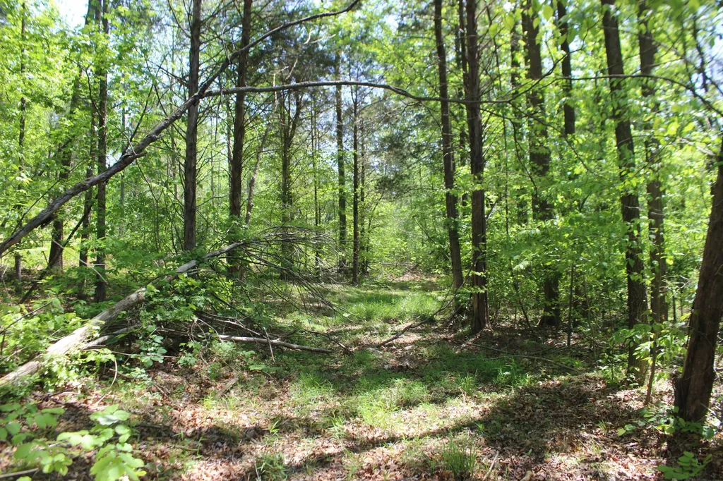 0 Emanuel - Tract B Lane Benton KY 42025
