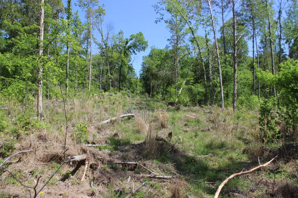 0 Emanuel - Tract B Lane Benton KY 42025