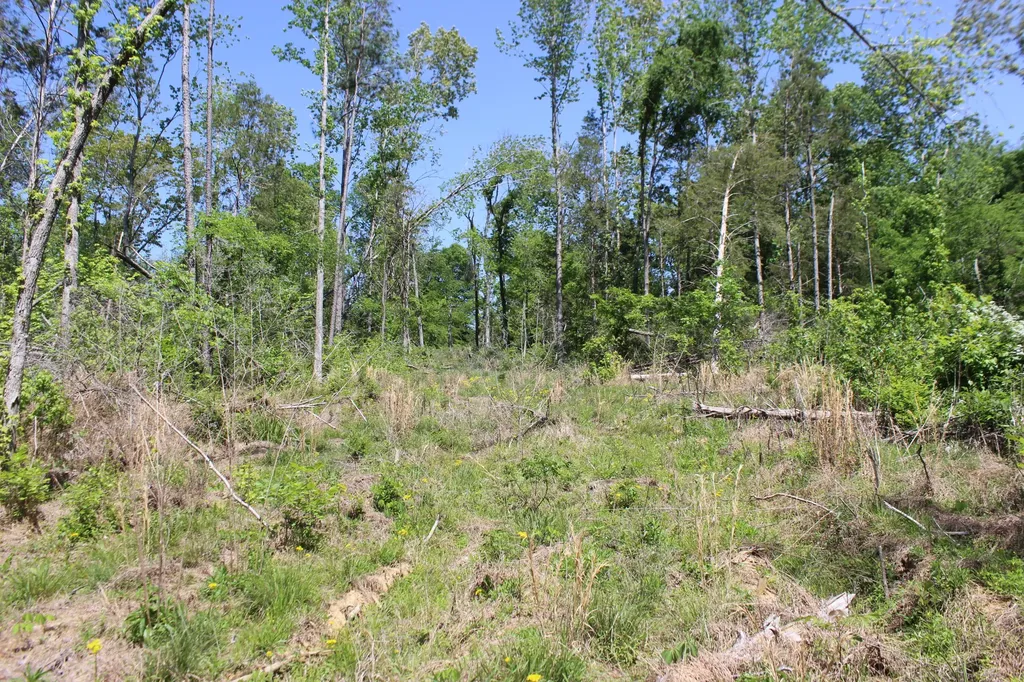 0 Emanuel - Tract B Lane Benton KY 42025