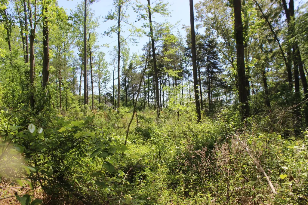 0 Emanuel - Tract B Lane Benton KY 42025