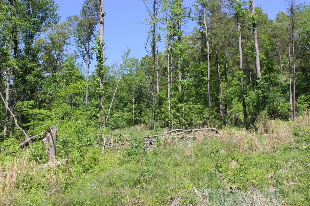 0 Emanuel - Tract B Lane Benton KY 42025