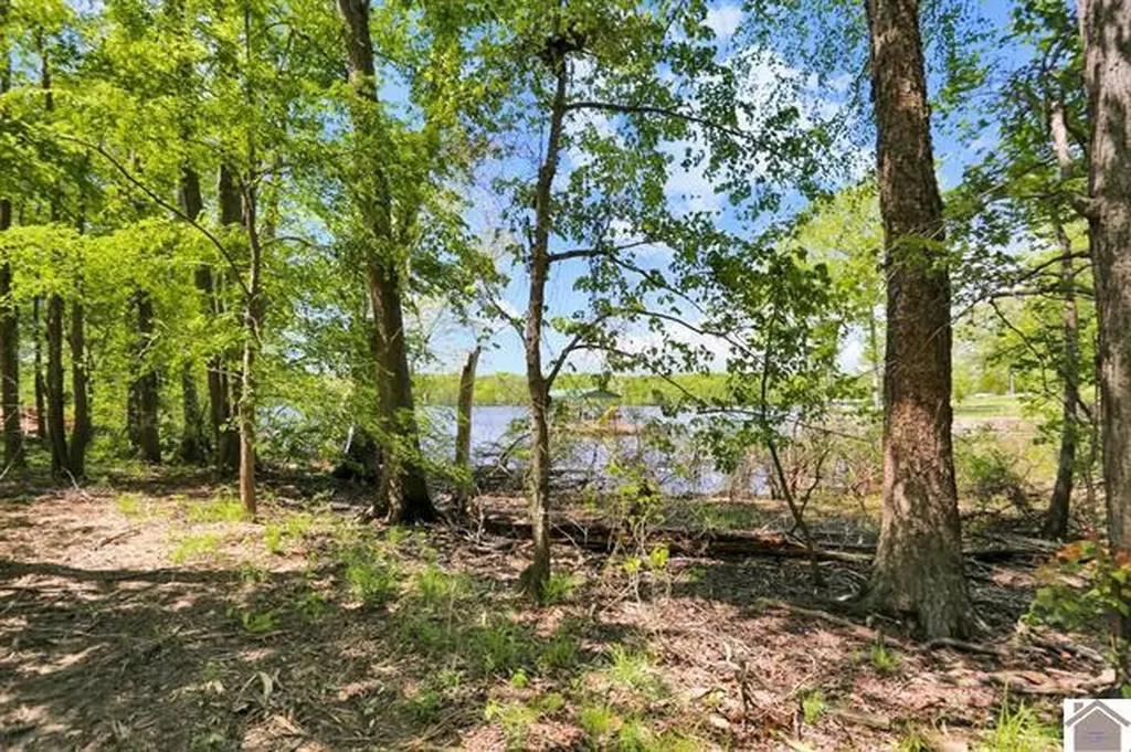 Lot 19 & 20 Post Oak Road Benton KY 42025