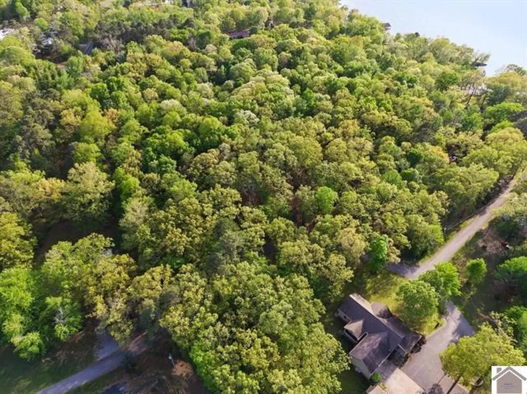 Lot 19 & 20 Post Oak Road Benton KY 42025