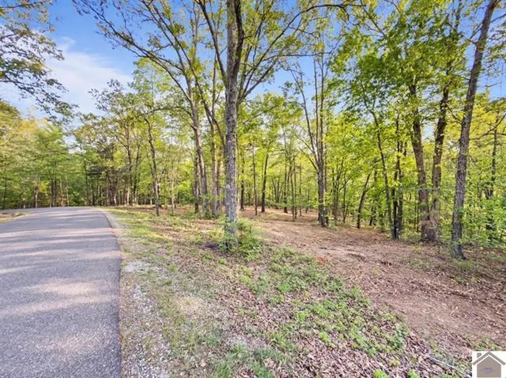 Lot 19 & 20 Post Oak Road Benton KY 42025