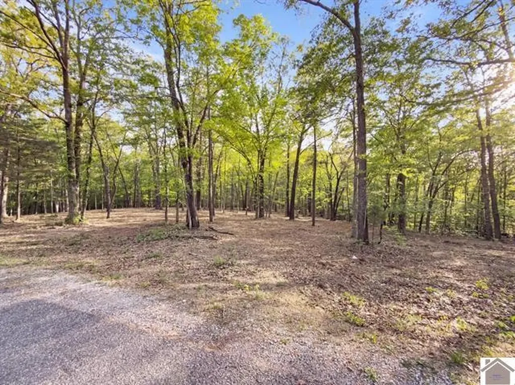 Lot 19 & 20 Post Oak Road Benton KY 42025