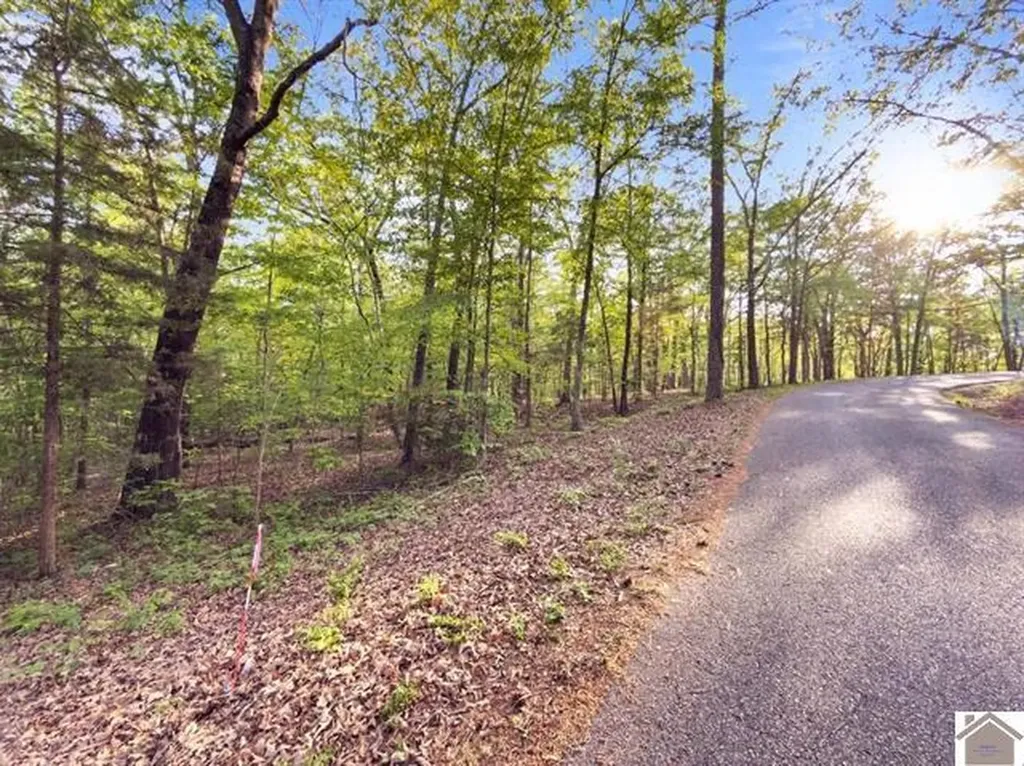 Lot 19 & 20 Post Oak Road Benton KY 42025