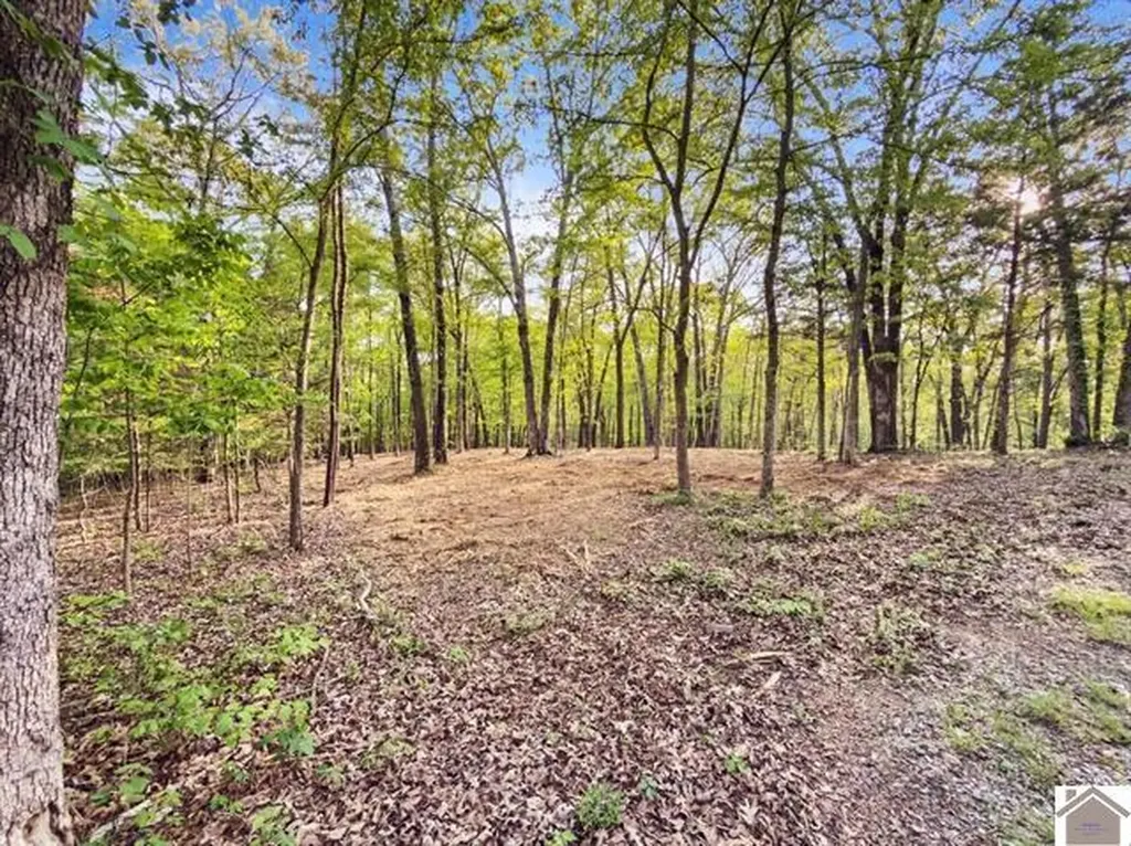 Lot 19 & 20 Post Oak Road Benton KY 42025