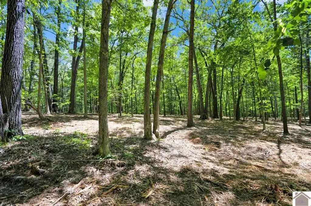 Lot 19 & 20 Post Oak Road Benton KY 42025