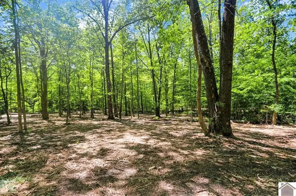 Lot 19 & 20 Post Oak Road Benton KY 42025
