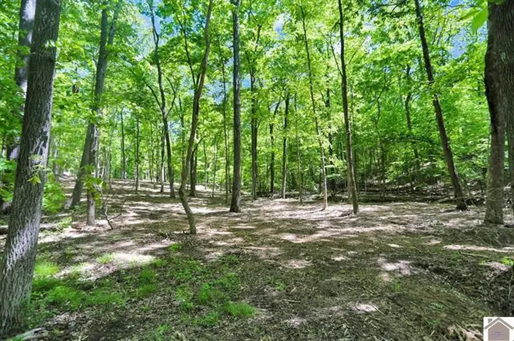 Lot 19 & 20 Post Oak Road Benton KY 42025