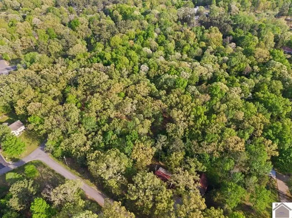 Lot 19 & 20 Post Oak Road Benton KY 42025
