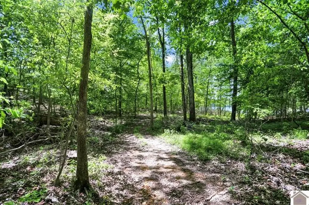 Lot 19 & 20 Post Oak Road Benton KY 42025