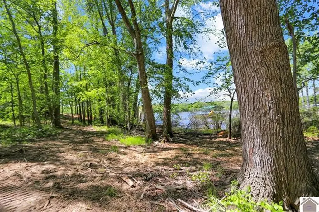 Lot 19 & 20 Post Oak Road Benton KY 42025