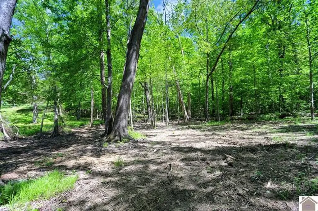 Lot 19 & 20 Post Oak Road Benton KY 42025