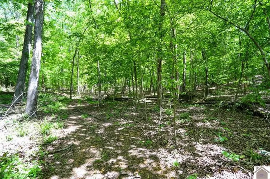 Lot 19 & 20 Post Oak Road Benton KY 42025