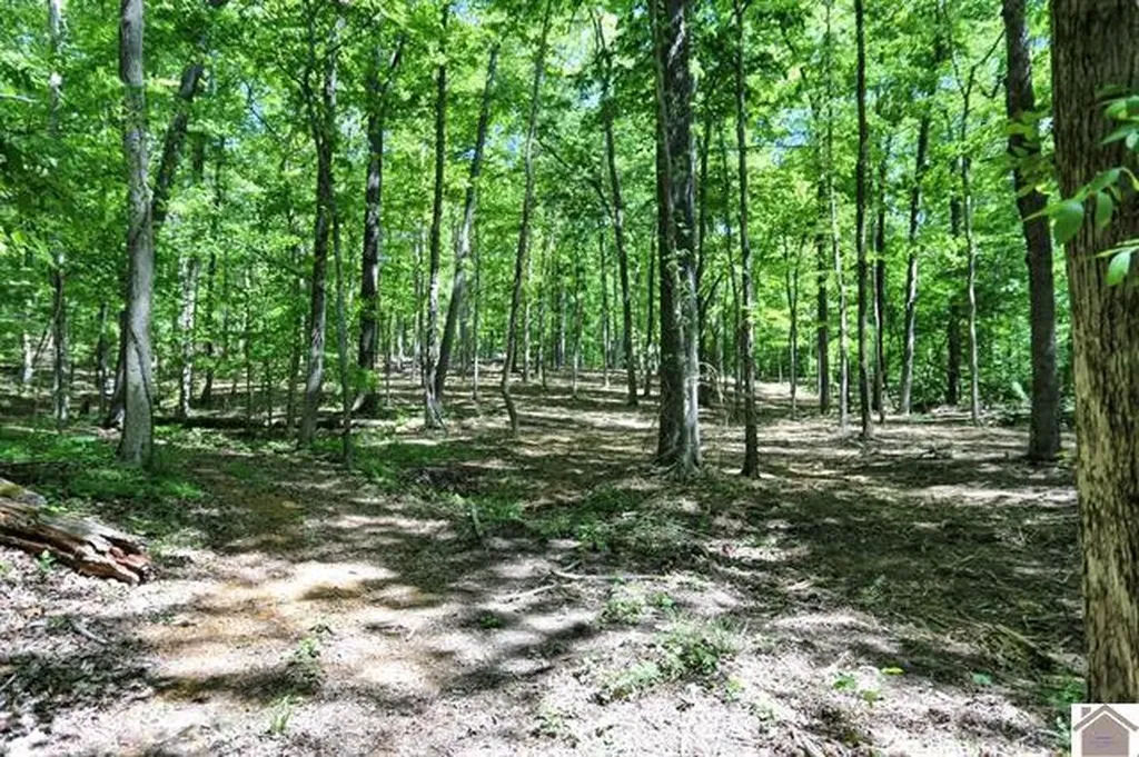 Lot 19 & 20 Post Oak Road Benton KY 42025