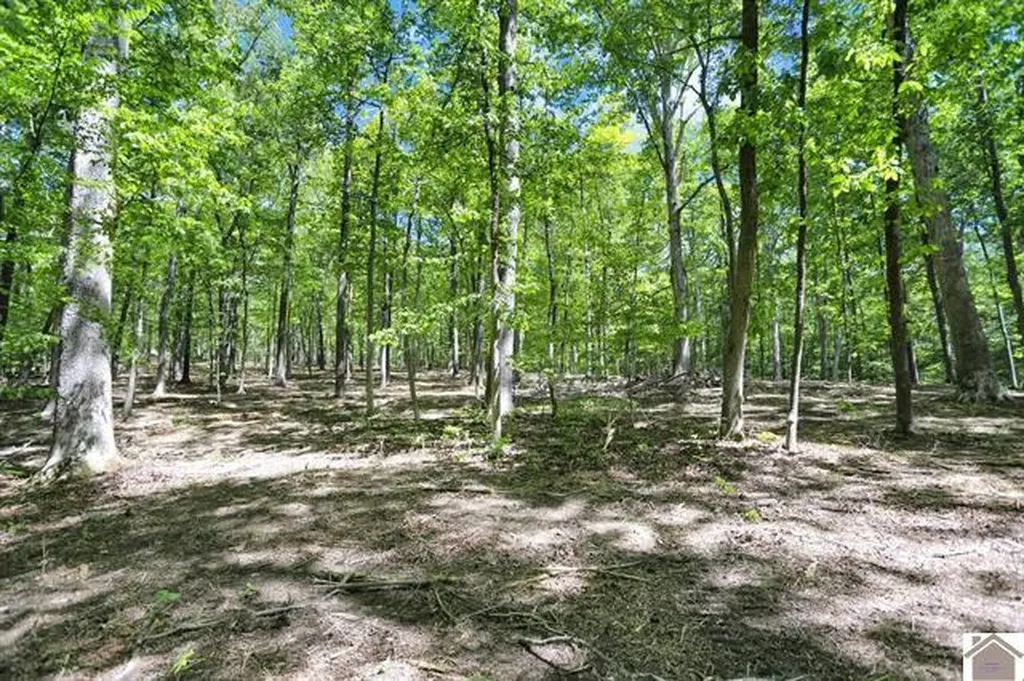Lot 19 & 20 Post Oak Road Benton KY 42025