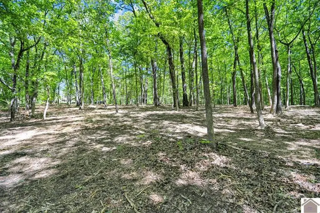 Lot 19 & 20 Post Oak Road Benton KY 42025