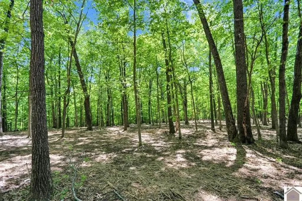Lot 19 & 20 Post Oak Road Benton KY 42025
