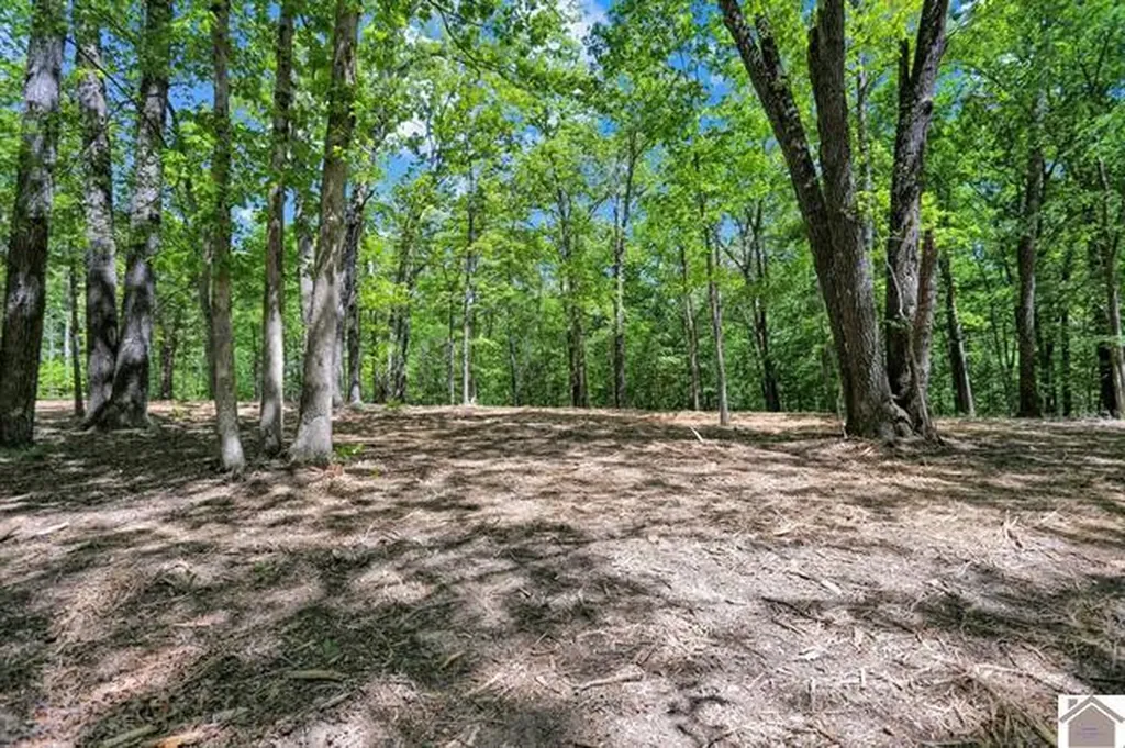 Lot 19 & 20 Post Oak Road Benton KY 42025