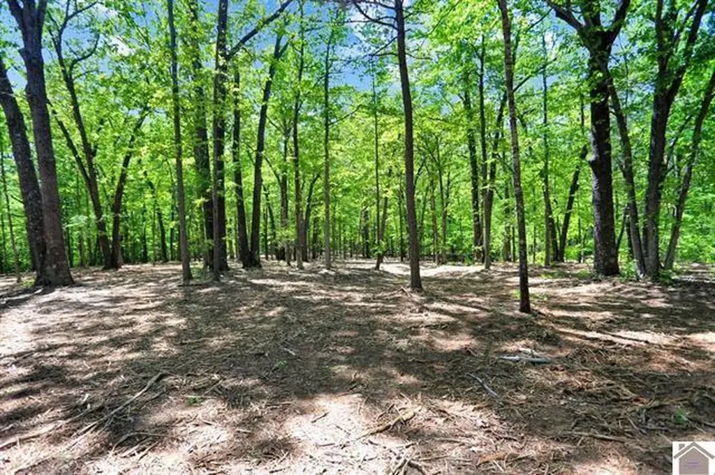 Lot 19 & 20 Post Oak Road Benton KY 42025