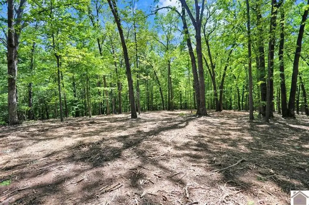 Lot 19 & 20 Post Oak Road Benton KY 42025