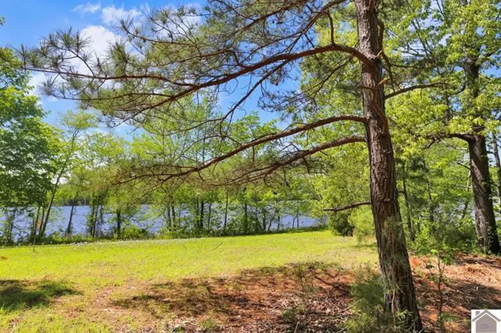 Lot 19 & 20 Post Oak Road Benton KY 42025