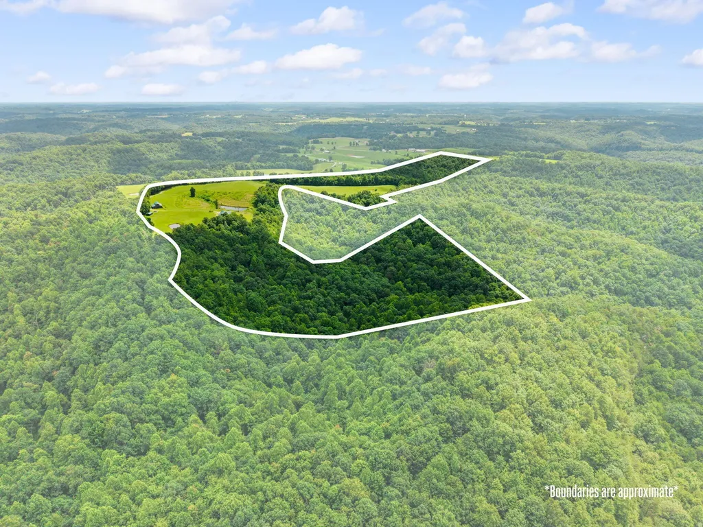 550 Bowman Ridge Road Morehead KY 40351