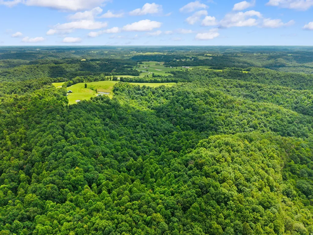 550 Bowman Ridge Road Morehead KY 40351