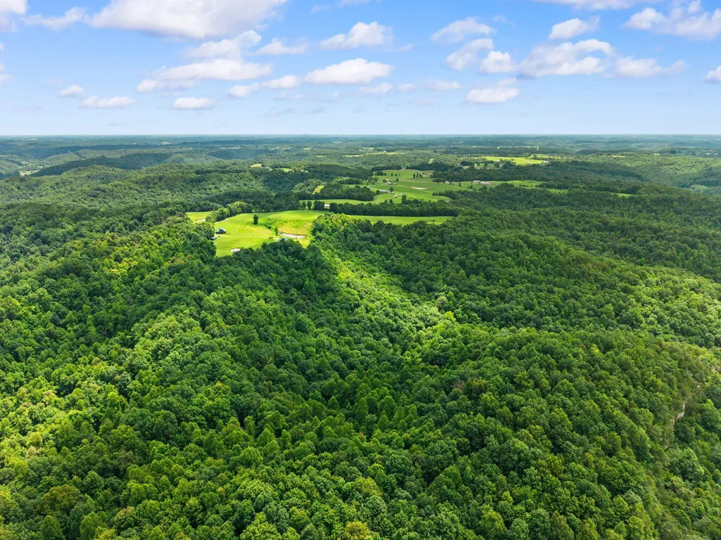 550 Bowman Ridge Road Morehead KY 40351