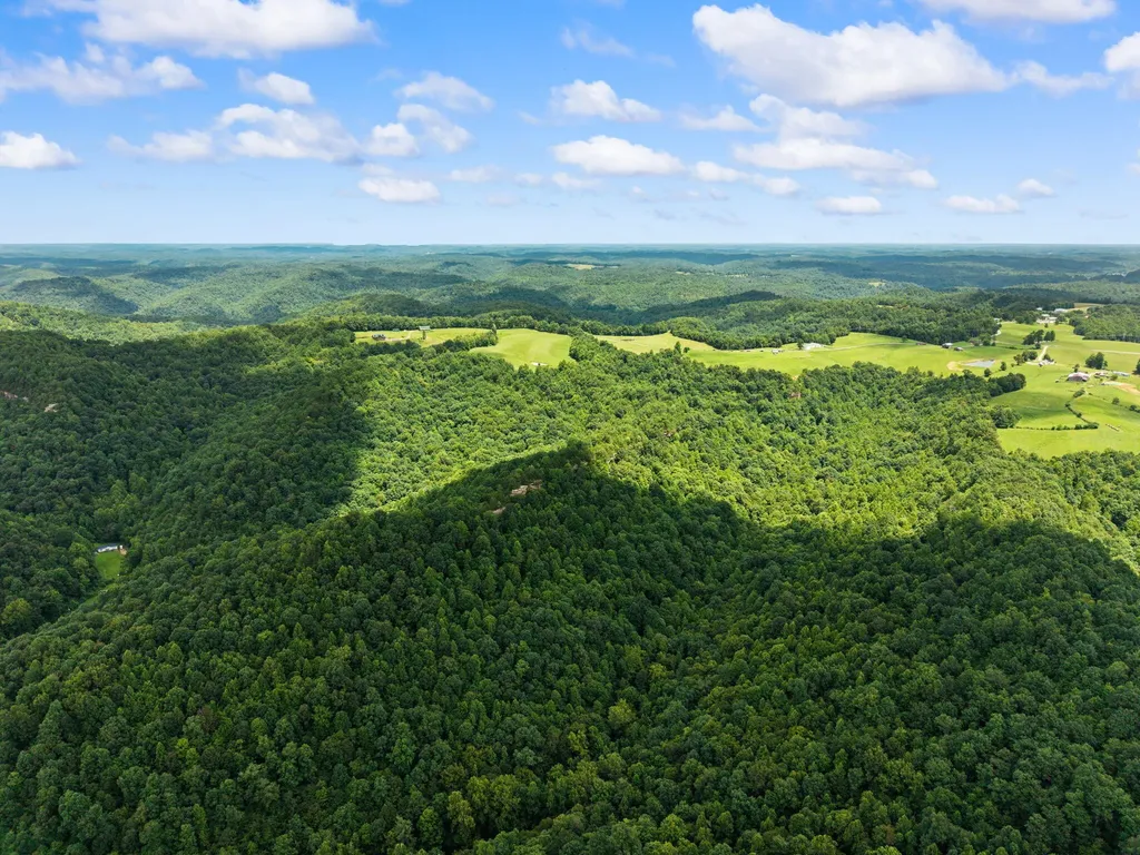 550 Bowman Ridge Road Morehead KY 40351
