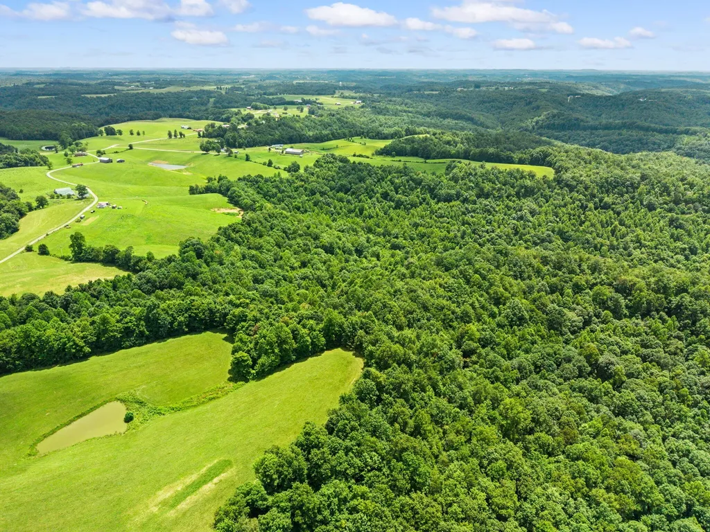 550 Bowman Ridge Road Morehead KY 40351