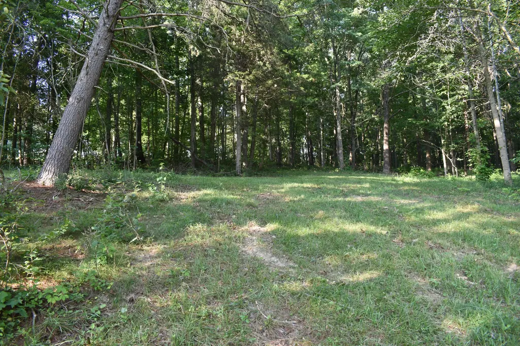 1040 Kentucky 801 Morehead KY 40351