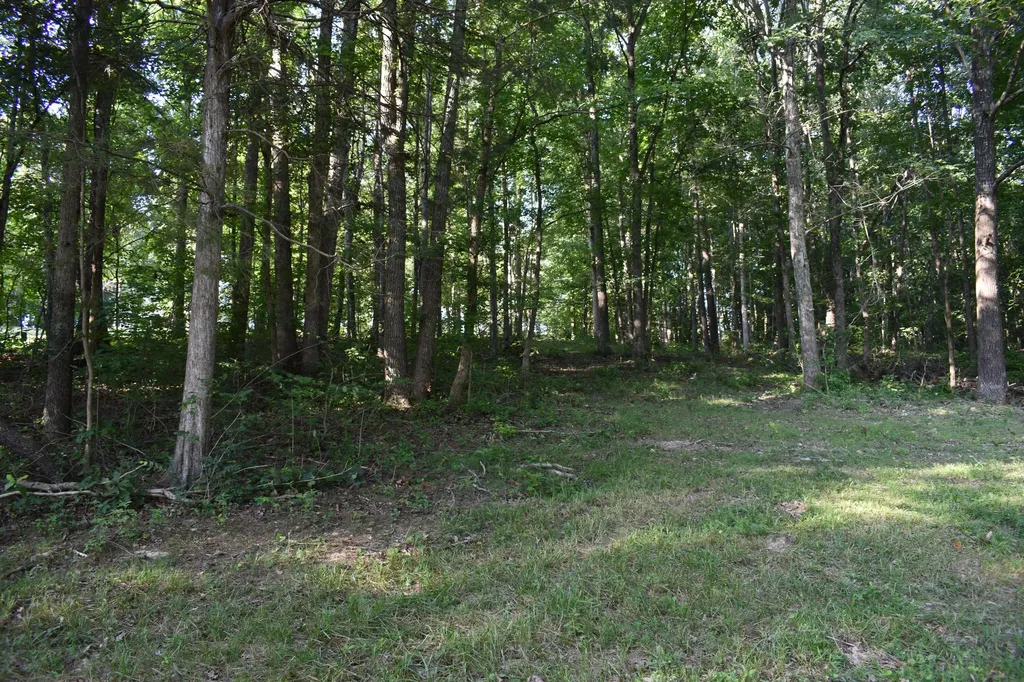 1040 Kentucky 801 Morehead KY 40351