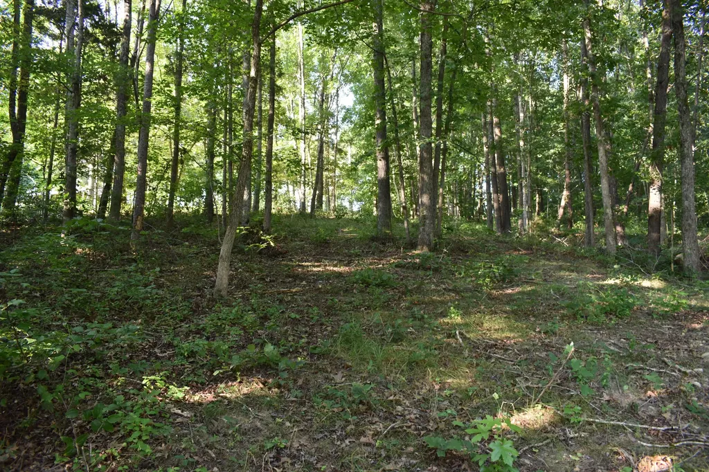 1040 Kentucky 801 Morehead KY 40351