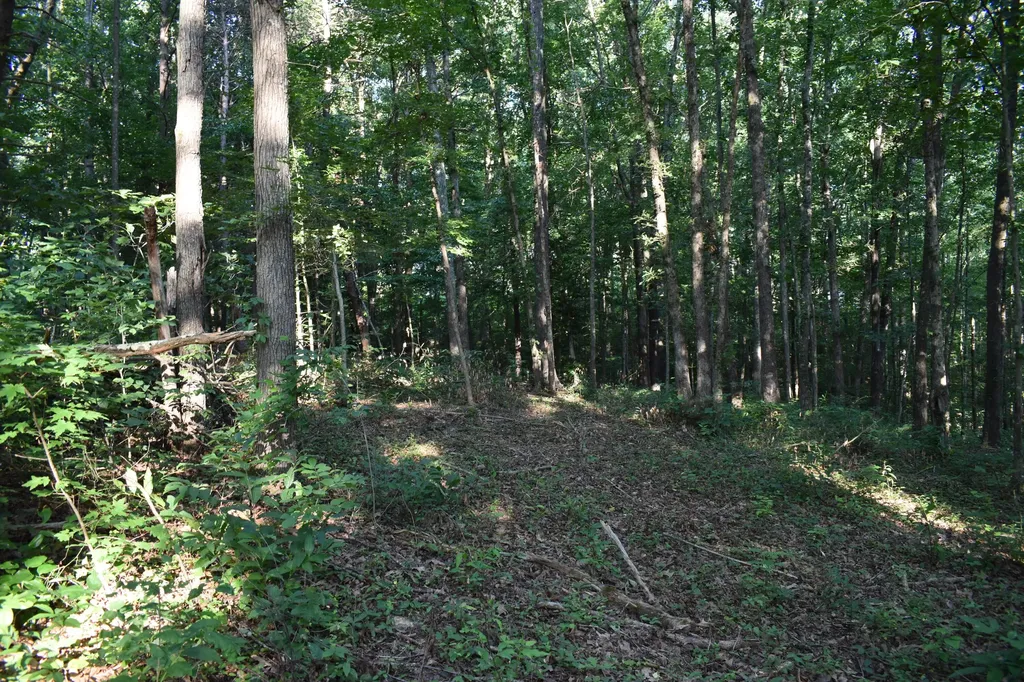 1040 Kentucky 801 Morehead KY 40351