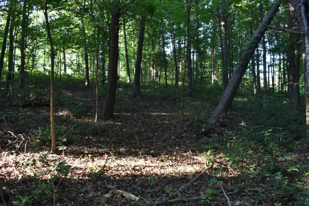 1040 Kentucky 801 Morehead KY 40351