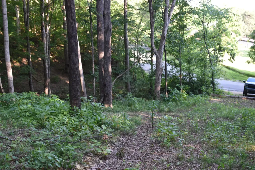 1040 Kentucky 801 Morehead KY 40351
