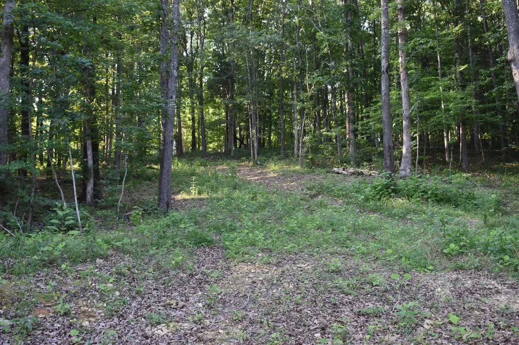 1040 Kentucky 801 Morehead KY 40351