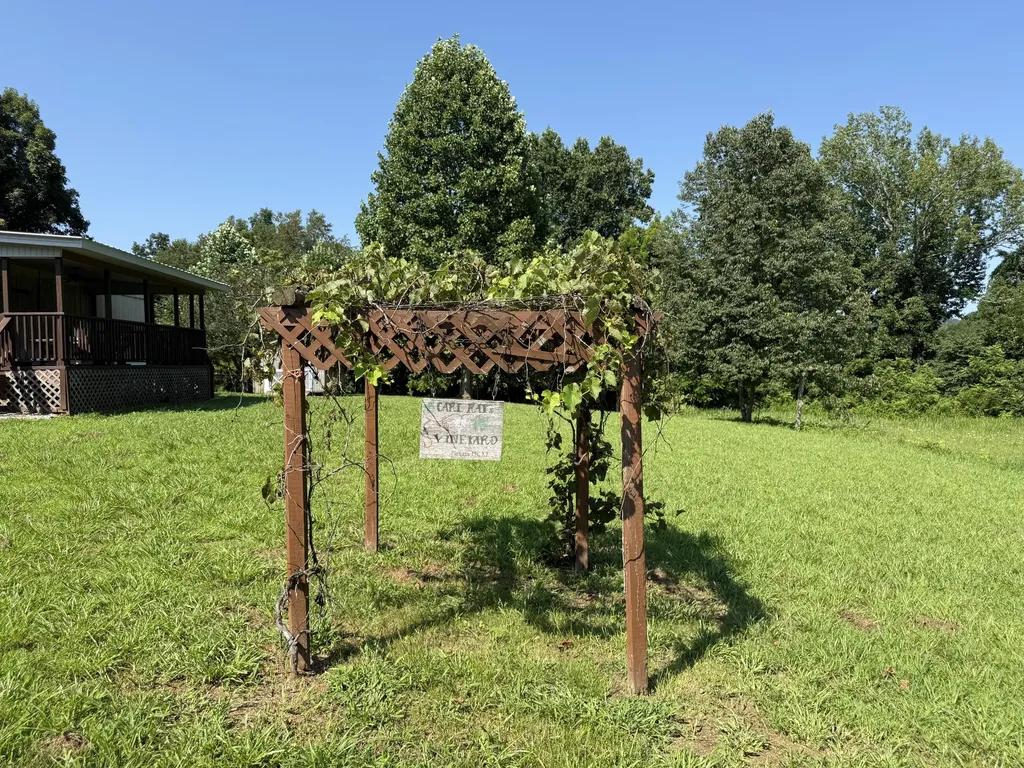 1090 Furnace Mountain Road Monticello KY 42633