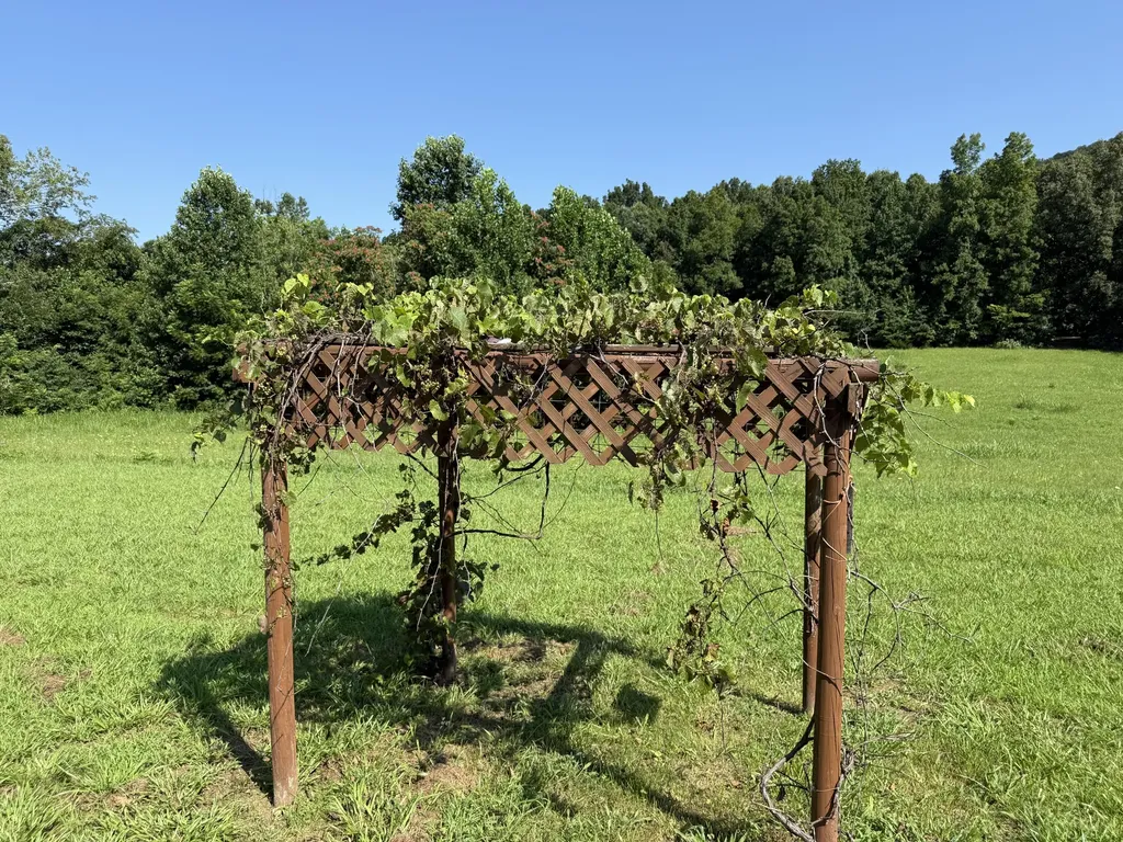 1090 Furnace Mountain Road Monticello KY 42633