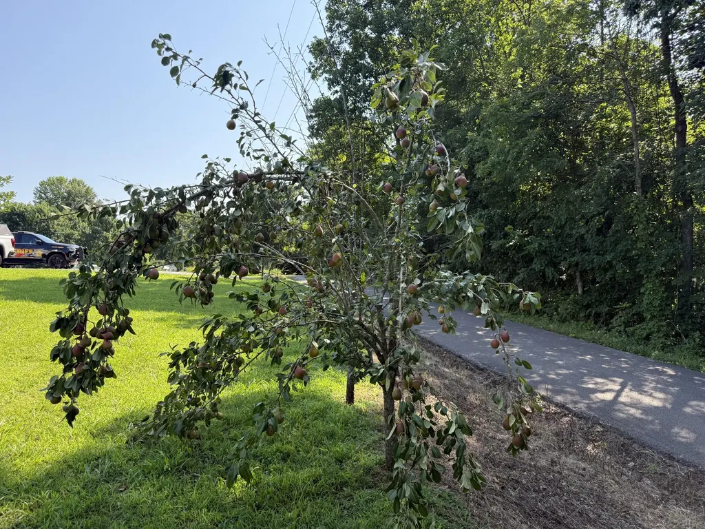 1090 Furnace Mountain Road Monticello KY 42633