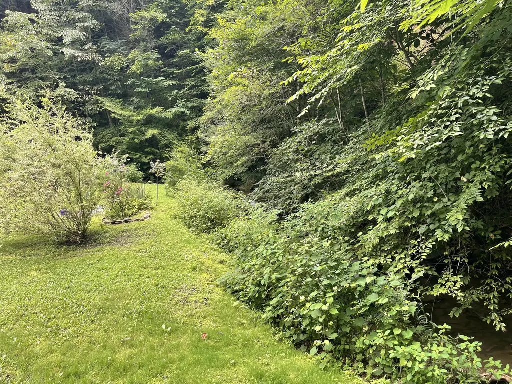 238 Coal Stone Branch Road Miracle KY 40856
